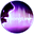 Beyond Noise's avatar