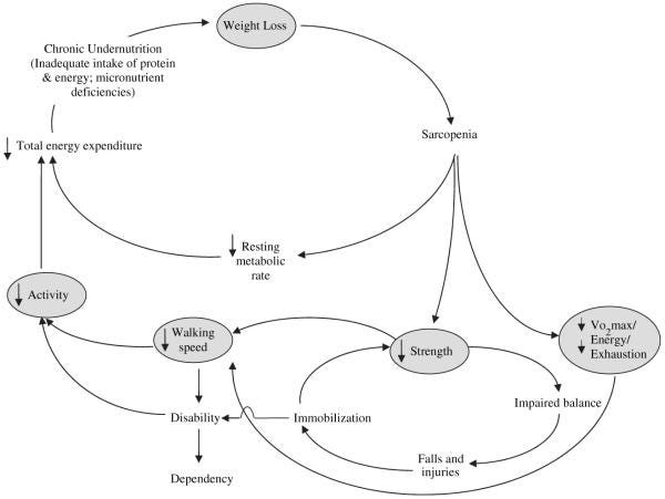 An external file that holds a picture, illustration, etc.
Object name is nihms-234476-f0001.jpg