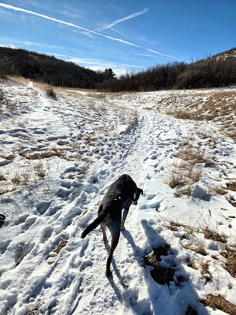 Ridgeline Open Space