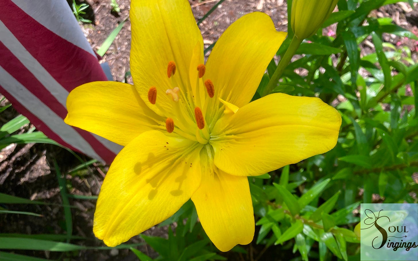 A Personal Dayenu: Grateful Reflections on God's Abundance