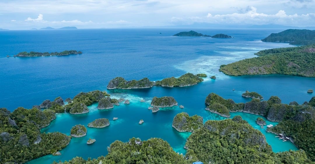an aerial view of an island in the middle of the ocean an aerial view of an island in the middle of the ocean