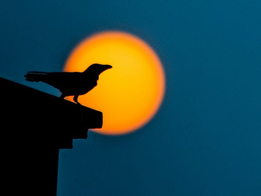 silhouette of man standing on roof during night time silhouette of man standing on roof during night time