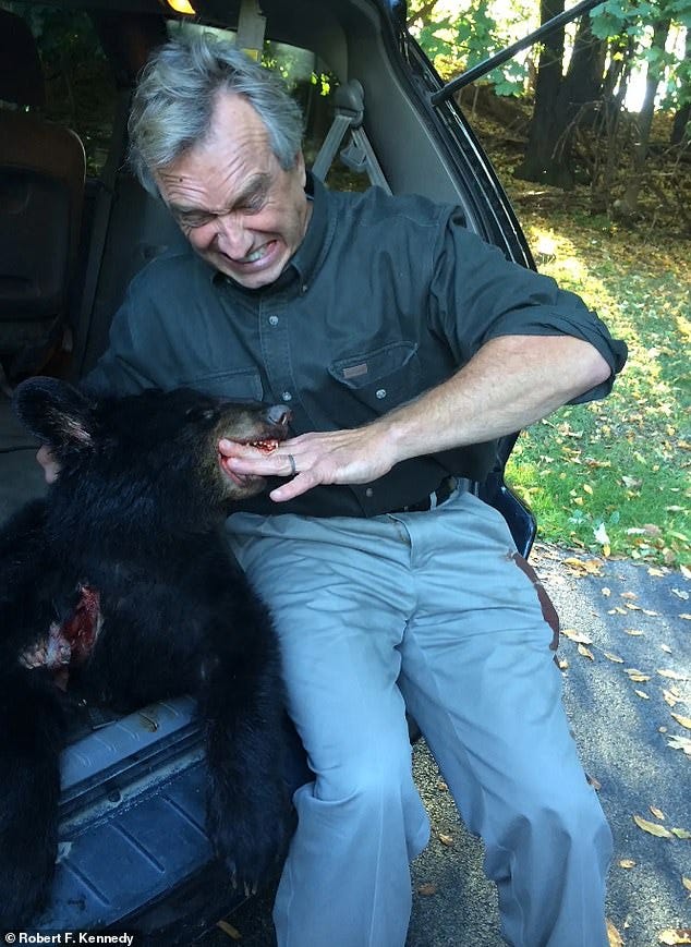 A grisly photo was released by The New Yorker Monday that showed Robert F. Kennedy Jr. with his hand in the mouth of the dead bear cub he later left in New York's Central Park