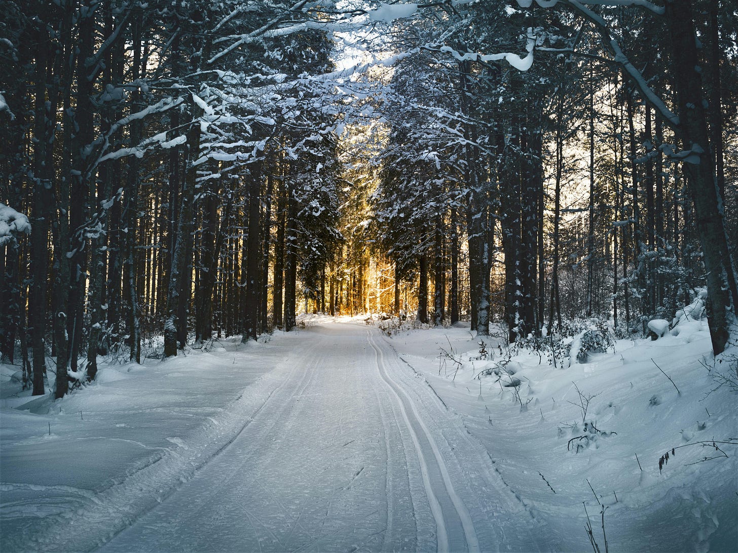 A snowy path through a forest with a sunrise in the distance