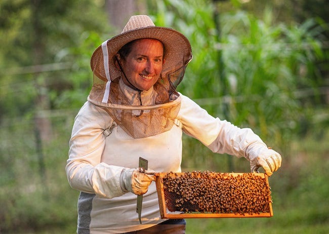 beekeeper holding a frame of honey bees
