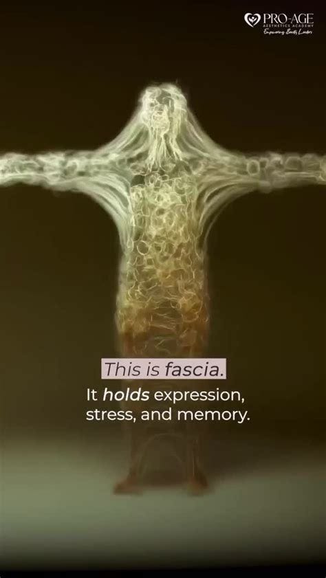 HOLISTIC FΛCIΛLIST (@holistic_facialist) • Instagram photos and videos