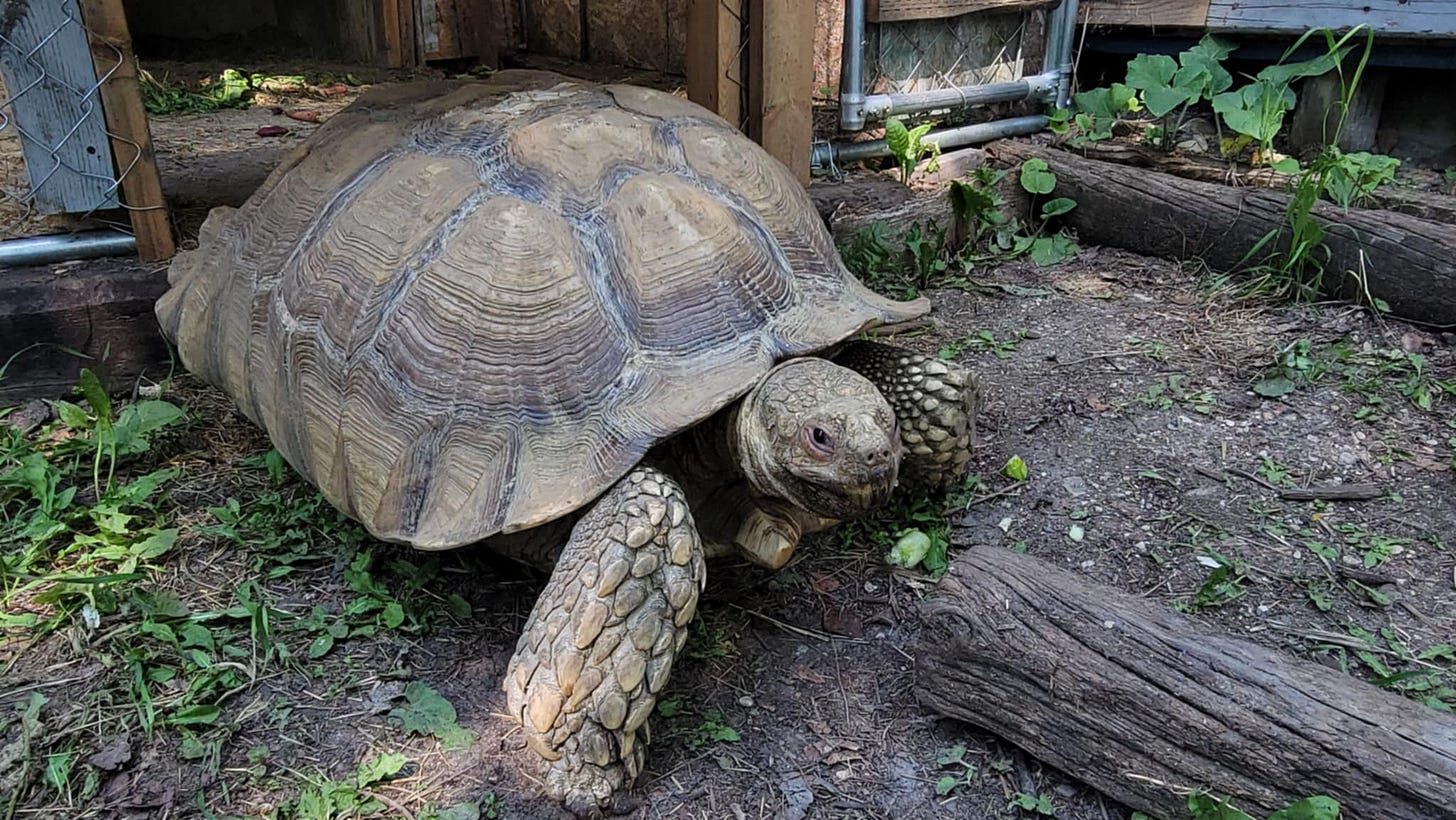 I got a plan to get us out of here