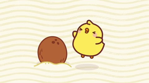 Coconut GIF - Unite UK