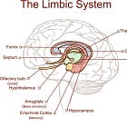 Breaking down the limbic system for better mental health (Part 1).