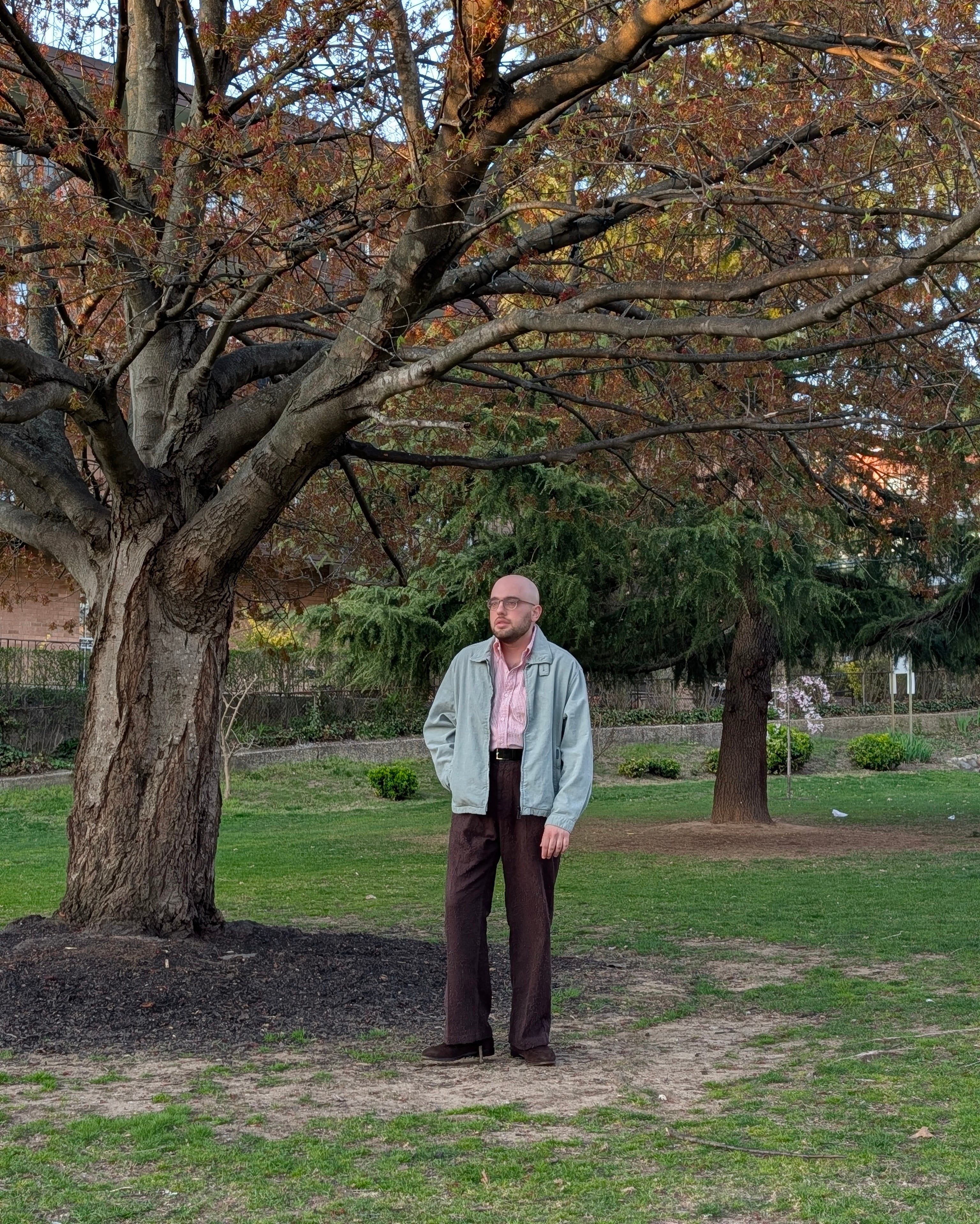 a springy fit in the park - by Daniel Hakimi - Morning Mist a springy fit in the park - by Daniel Hakimi - Morning Mist