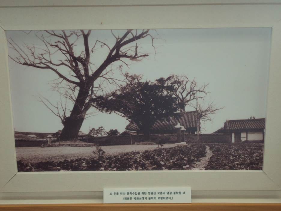 A tree in a frame

AI-generated content may be incorrect.