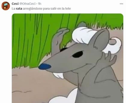 Una rata interrumpió la conferencia de Jorge Macri y los memes ...