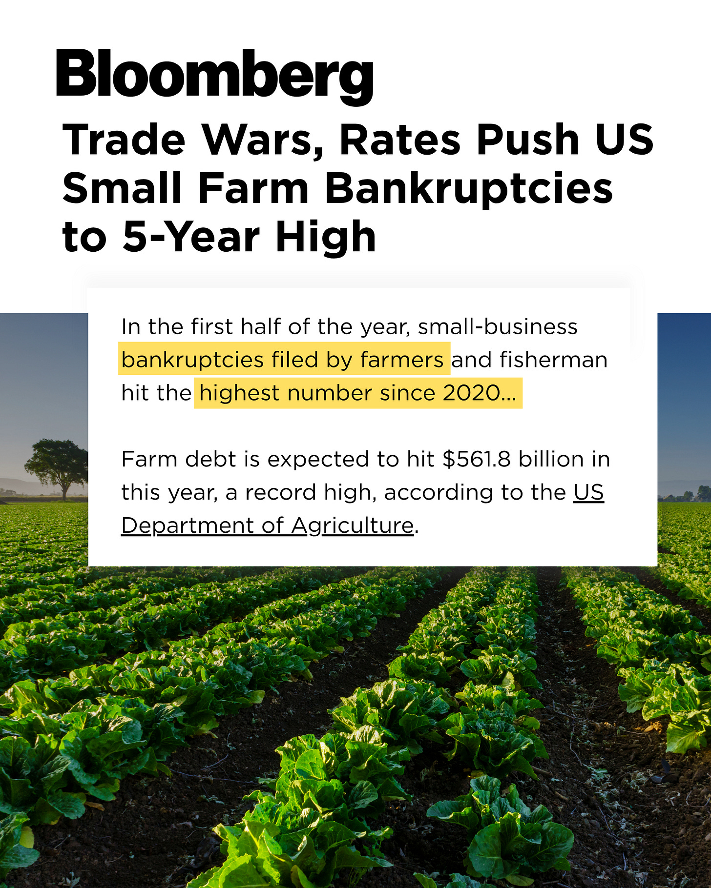 A picture containing text, plant, screenshot

AI-generated content may be incorrect.