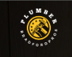 Artwork for Plumber Bradford Pros