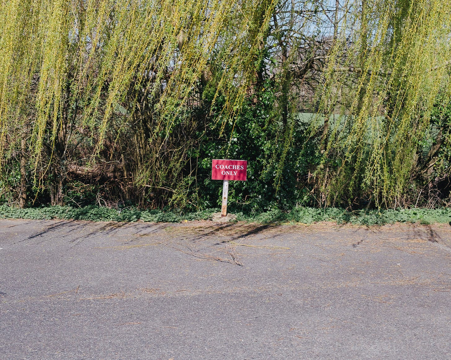 M.P. Osborne SubStack - A deeper look at art and photography