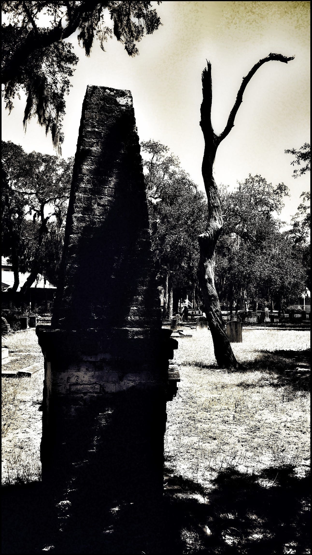 A grainy monochrome photo of a scene in perhaps a cemetery. There are two truly identifiable elements: in the foreground, a tall, narrow brick structure tapering to a flat top; behind it, a single tall, narrow leafless tree, stretching up and out into a sky smudged with a yellowish brown tint. Other trees in the image are all leafy, some draped with moss. Visible on the ground: a handful of tombstones in the background and what might be burial plots scattered here and there.