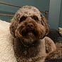 Baulderdashandpoppycock's avatar