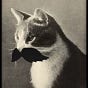 Philosophisticat's avatar