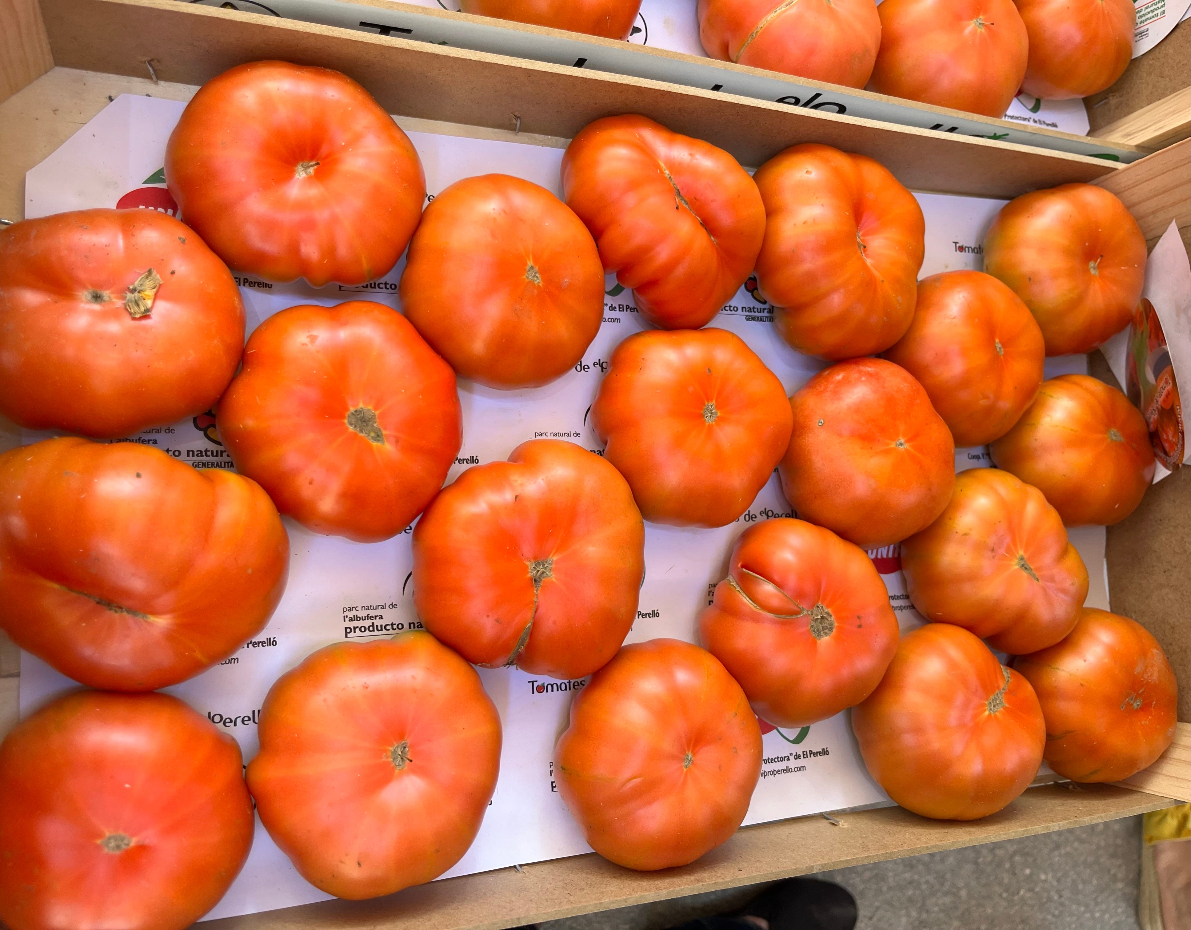 El Perell tomato festival - by Jill Petzinger