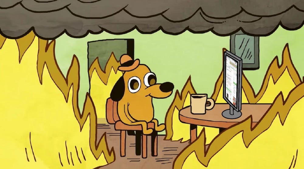 Create meme "meme dog on fire, a dog in a fire meme, a dog in a burning ...