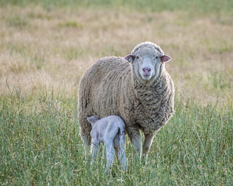 20260126-SCF-843-Edit.jpg 20260126-SCF-843-Edit.jpg