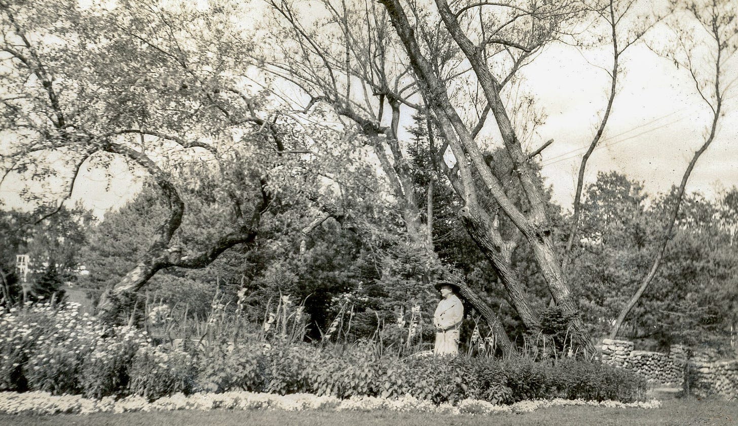 Cutting garden