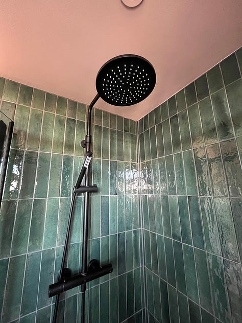 black tap, black shower, black door handle