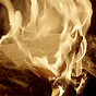 ابنة الغسق 🕯's avatar