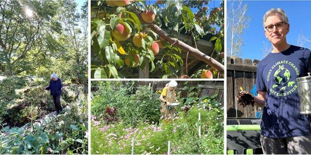 A collage of a garden

AI-generated content may be incorrect.