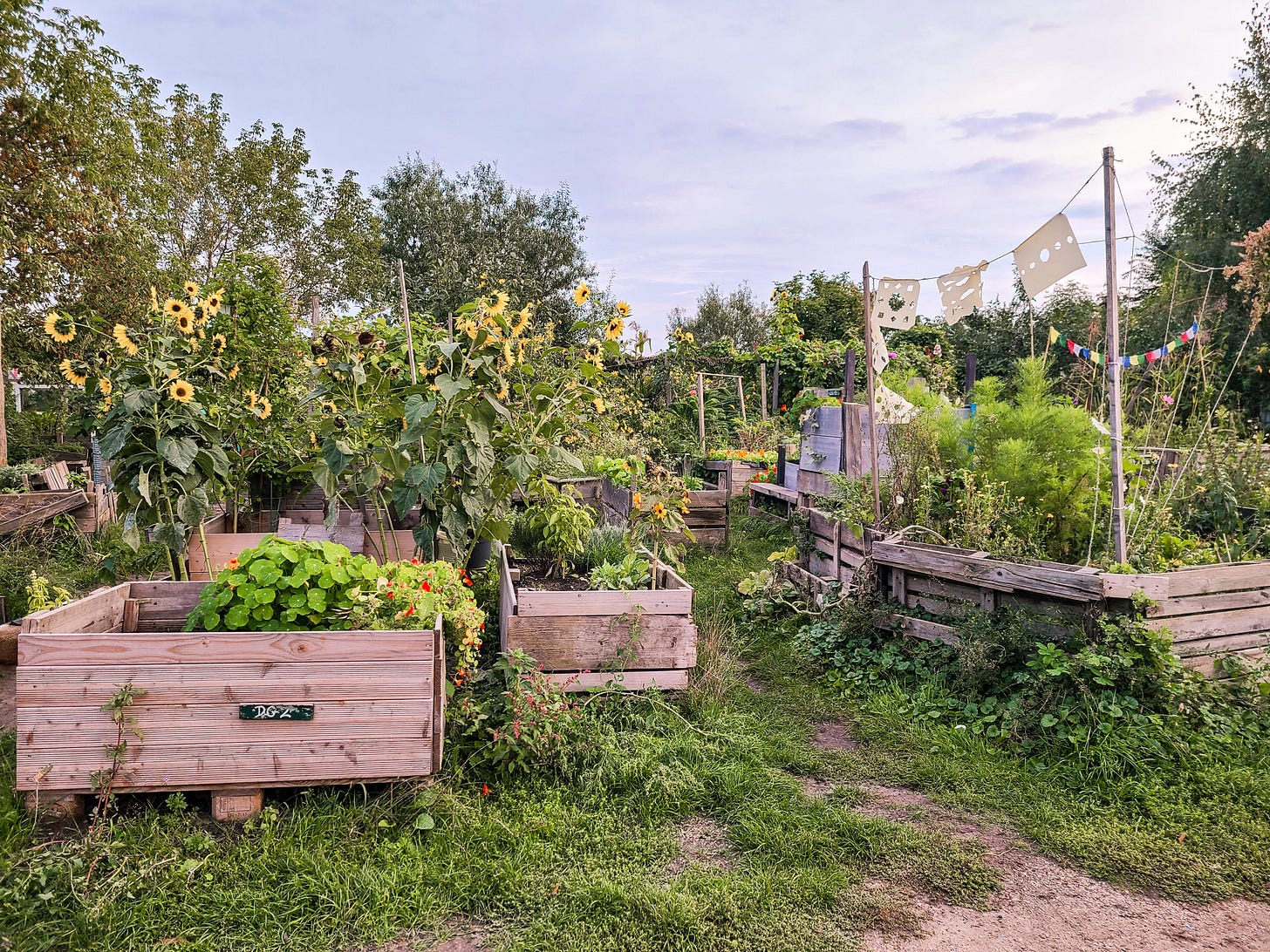 community garden at Tempelhofer Feld