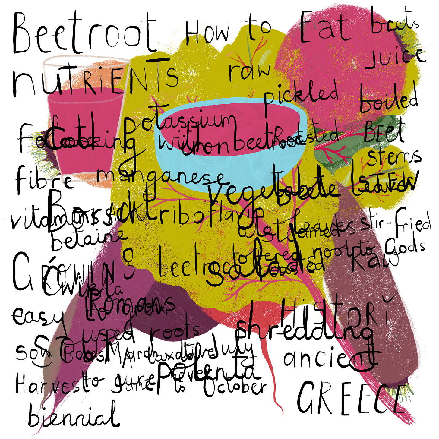 Collection of hand-lettering and drawings of beetroot overlaid on top of each other. Illustrated and hand-lettered by Tasha Goddard.
