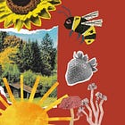 Agroecología, agricultura sintrópica o permacultura: hacia una regeneración del tejido ecosocial