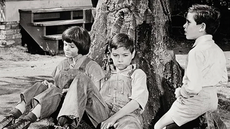 Scout Finch (Mary Badham), Jem Finch (Phillip Alford), and Dill Harris (John Megna), as depicted in the 1962 film adaptation of "To Kill a Mockingbird." Scout Finch (Mary Badham), Jem Finch (Phillip Alford), and Dill Harris (John Megna), as depicted in the 1962 film adaptation of "To Kill a Mockingbird."