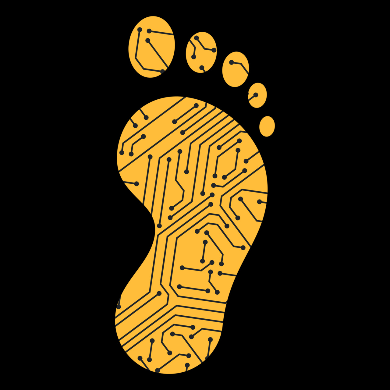 Barefoot Technology Academy