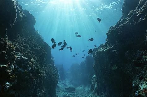 Deep Sea Mining in the Clarion-Clipperton Fracture Zone Deep Sea Mining in the Clarion-Clipperton Fracture Zone