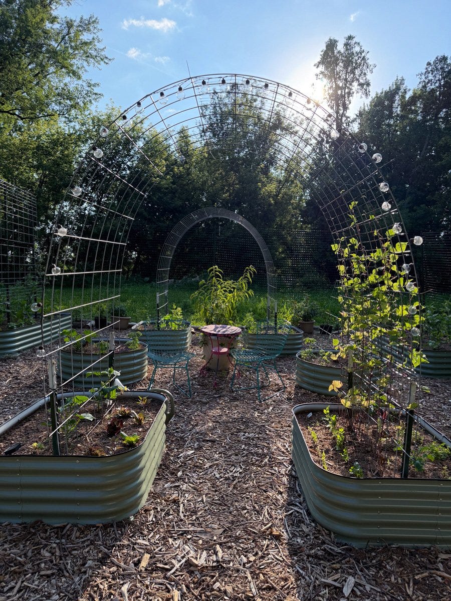 a fenced in garden of raised beds glowing in evening light