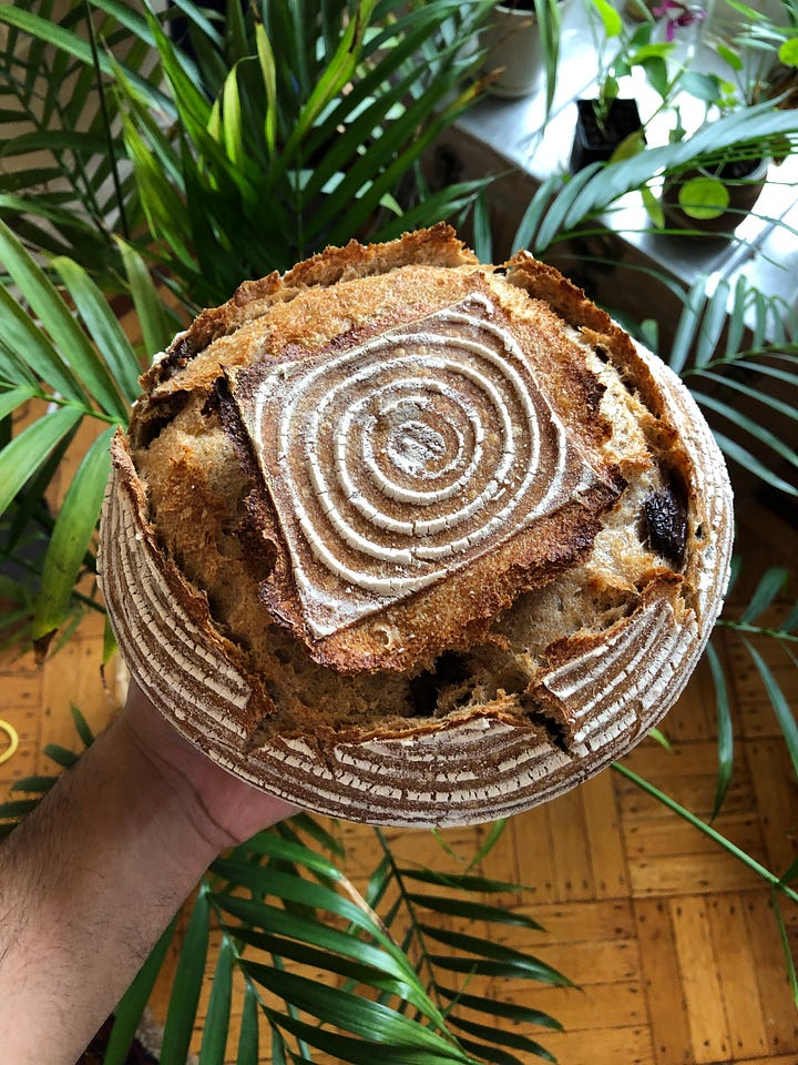 Hand holding sourdough boule, hand holding sesame challah