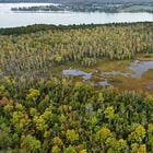 Family Donates 46 Hectares Near Wiarton to Nature Conservancy of Canada