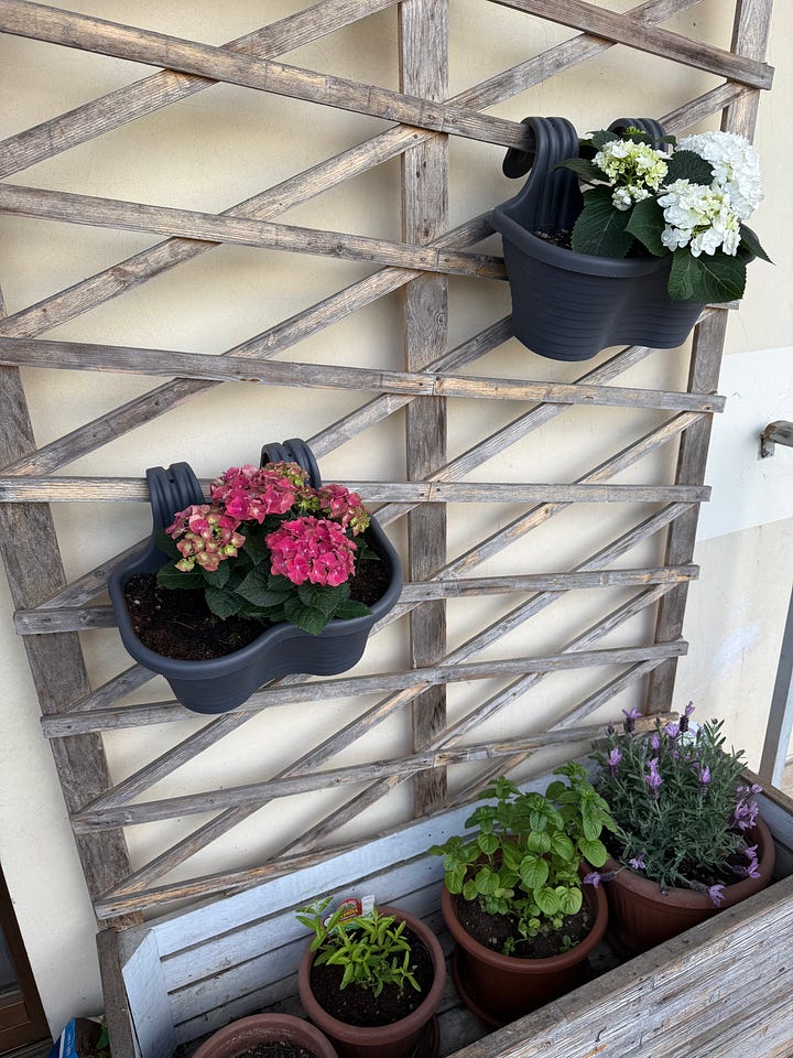 Photos of my new green balcony