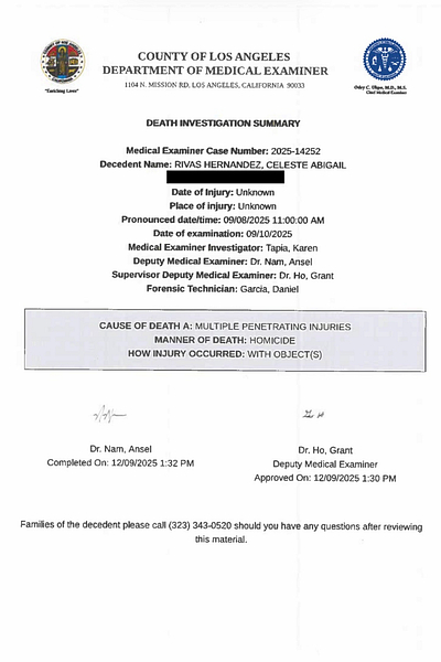 READ THE DOCUMENT: Autopsy Report Lays Bare Killing of Celeste Rivas ...
