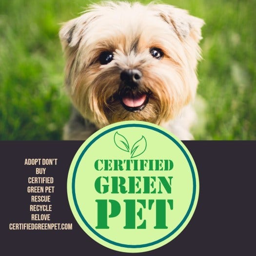 How shelters can adopt more pets