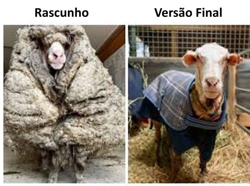 Montagem comparando duas fotos da mesma ovelha: à esquerda, com a lã enorme e desgrenhada (rascunho); à direita, tosada e vestindo uma manta elegante (versão final). Ilustra o impacto da edição cuidadosa em textos jurídicos.