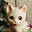 luckyloo's avatar