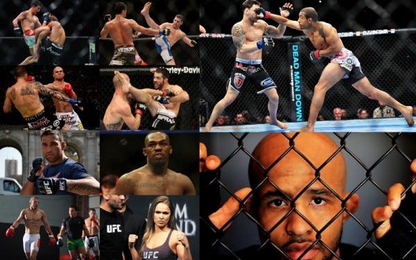 hottest top 10 ufc fighters 2014 2015 images hottest top 10 ufc fighters 2014 2015 images