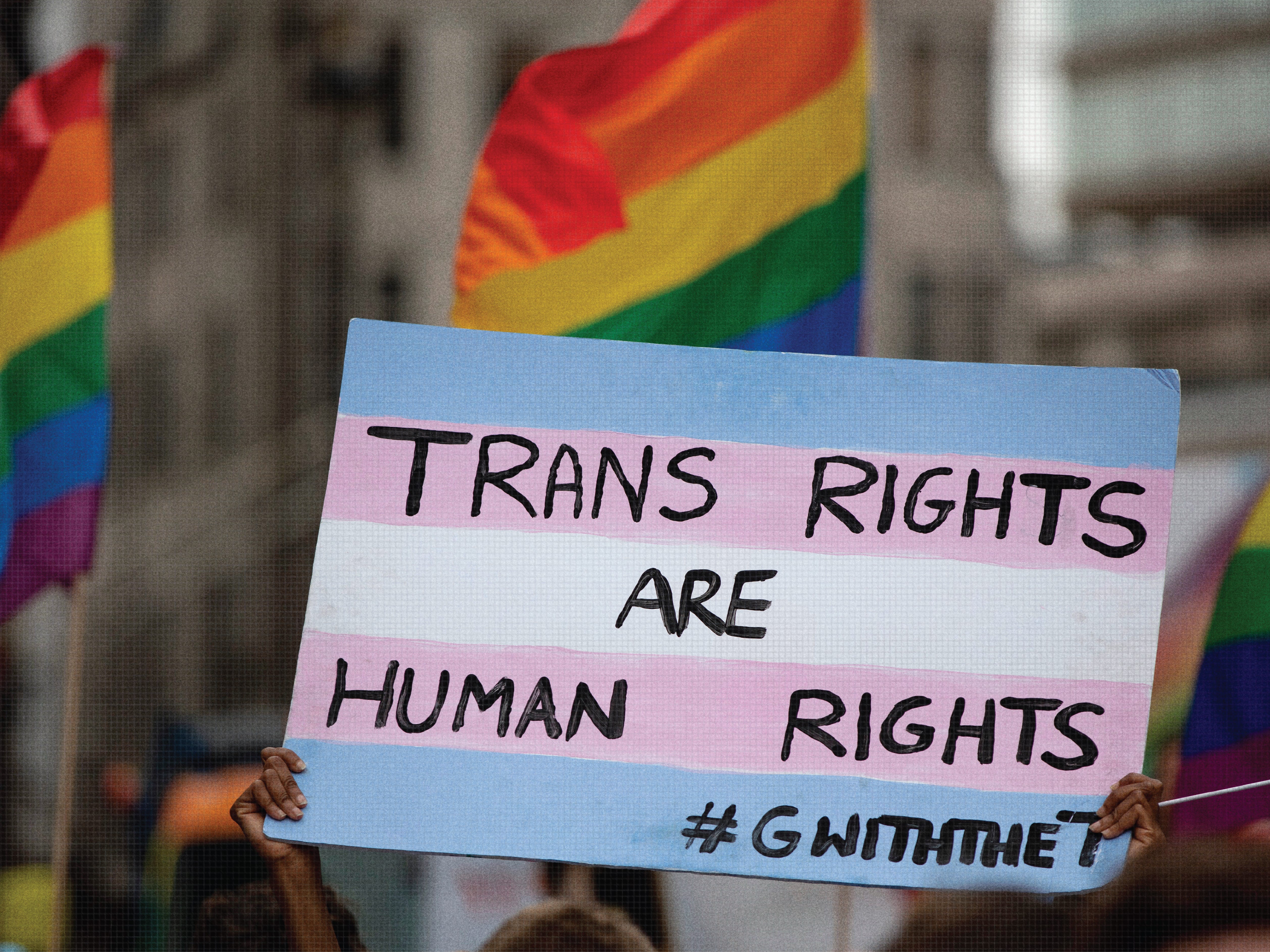 Democratic Gender Democrats Just Can’t Quit Their Gender Ideology