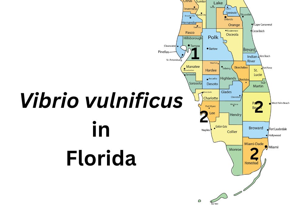 Vibrio Vulnificus Infections: A Serious Threat for People with Weakened Immune Systems