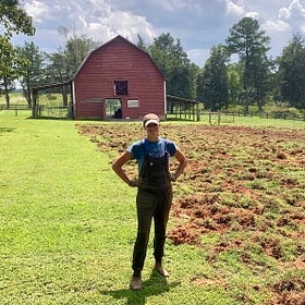 How I turned an empty field into a thriving market garden