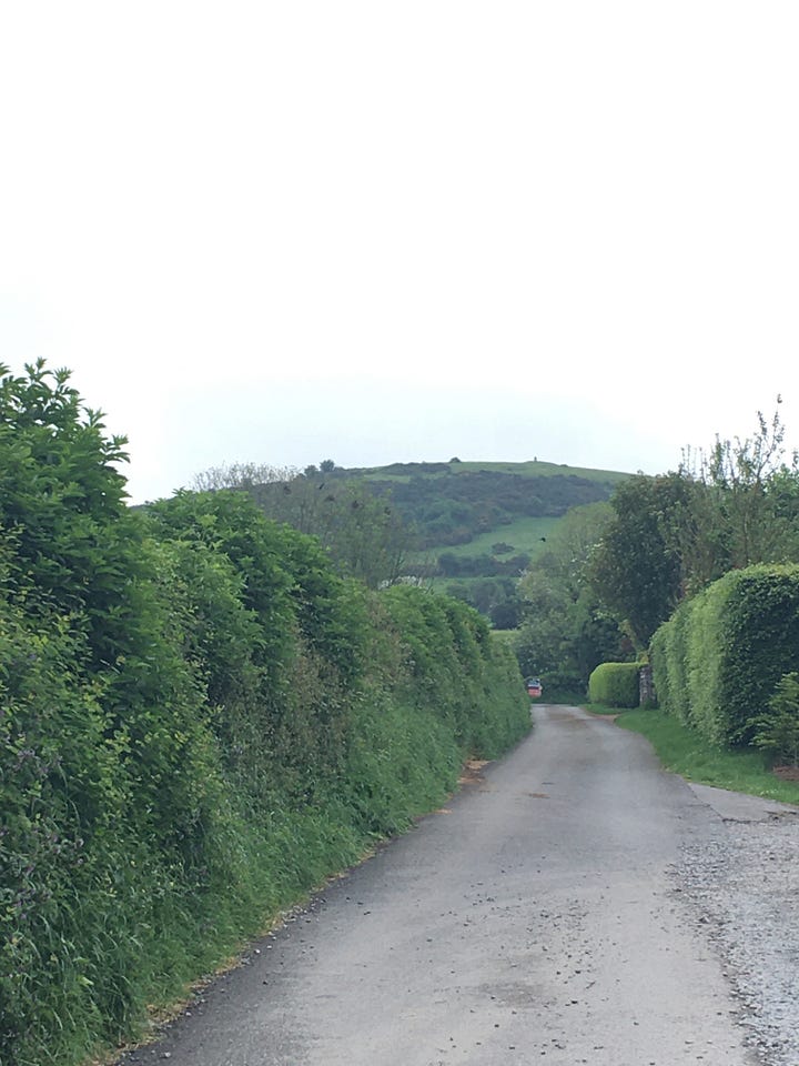 The path up Croghan Hill