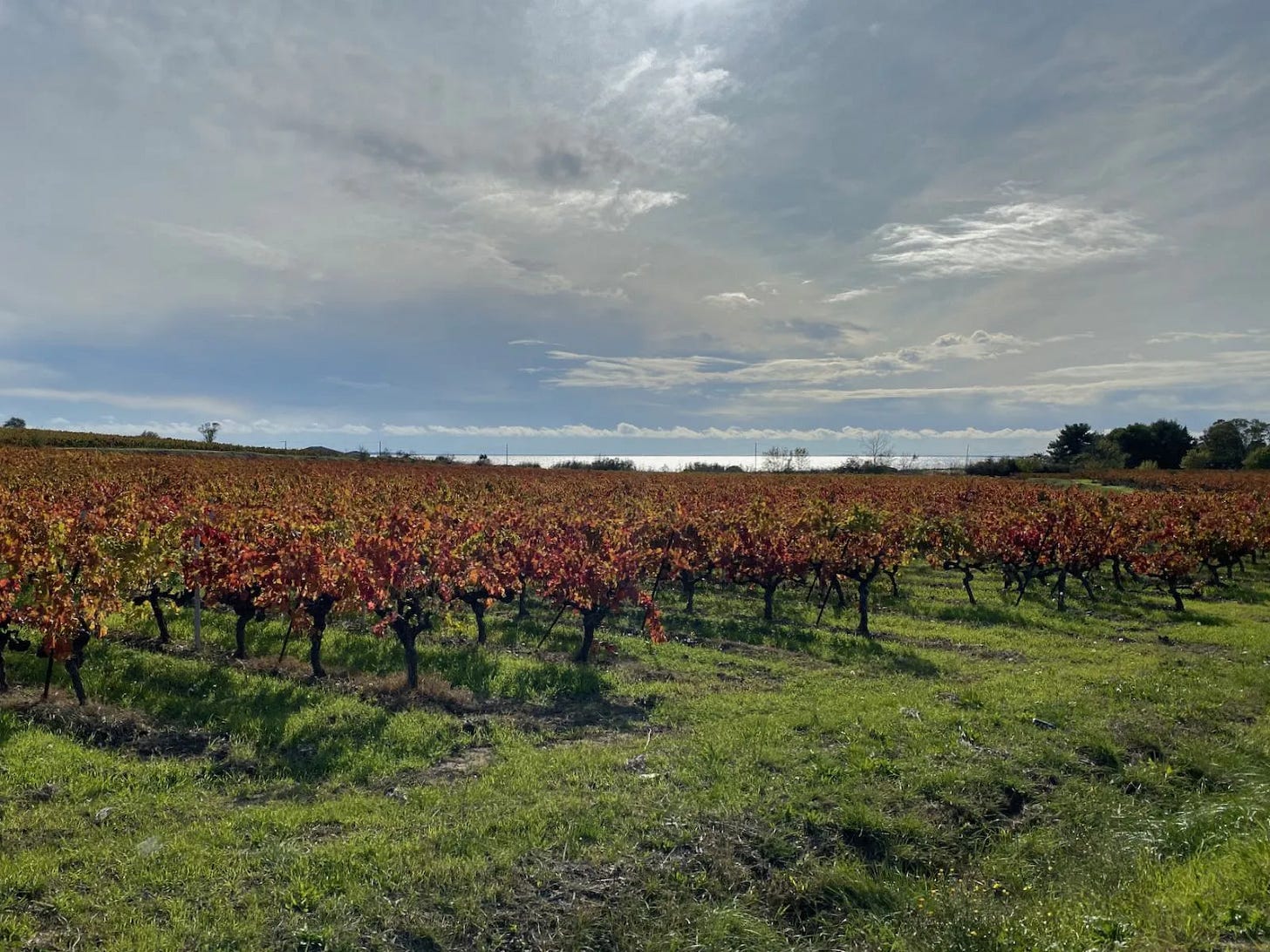 La descente vers Mèze La descente vers Mèze