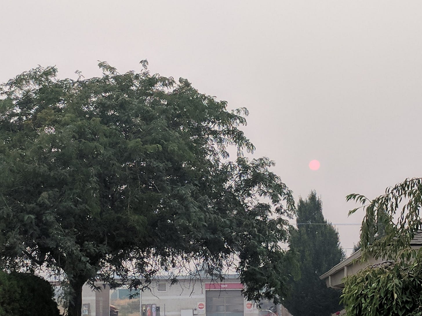 red sun in sky smoke season pacific northwest